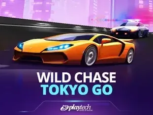 Wild Chase_ Tokyo Go game icon